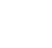 Leonis Enterprises